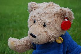 Sympathy Stuffed Bear