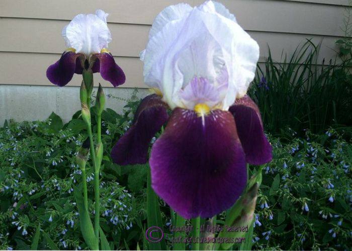 Connections to my Past