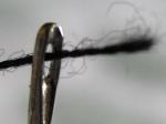 thread_through_eye _of_needle.jpg