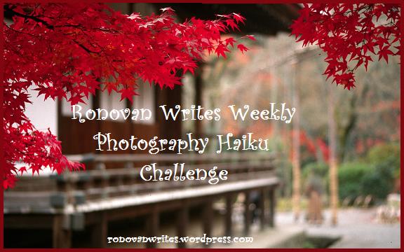 photography_haiku_badge_autumn_2014