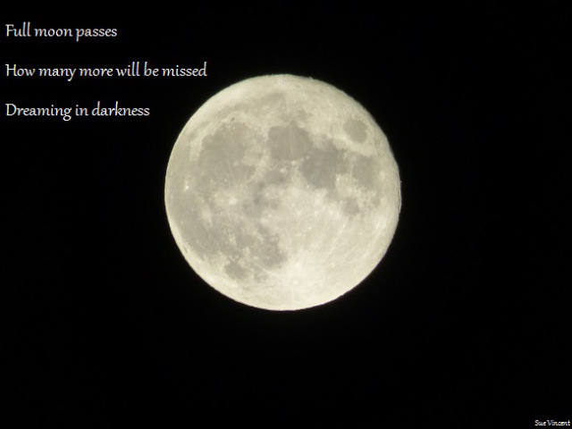 Full moon passes How many more will be missed Dreaming in darkness