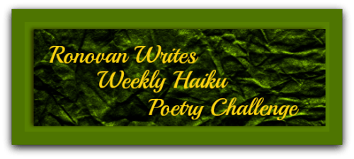 ronovan-writes-haiku-challenge-shadow