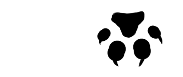 Large-Cat-Paw-Transparent-left-down