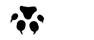 Large-Cat-Paw-Transparent-right-down