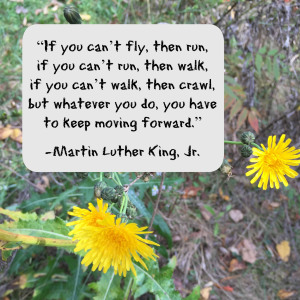 mlk perserverance 10.14.15