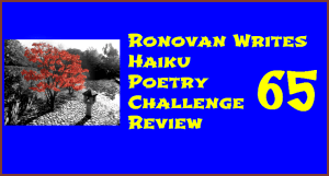 Ronovan Writes Haiku Challenge Review 65