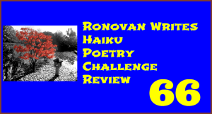 Haiku Review 66