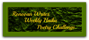 ronovan-writes-haiku-challenge-shadow