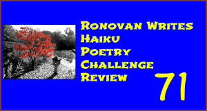 Haiku Challenge Review 71