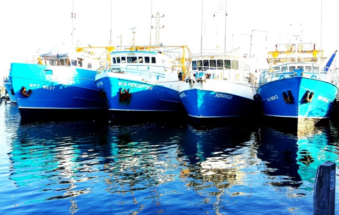 fishing boats