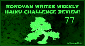 Ronovan Writes Haiku Review 2016 Image.
