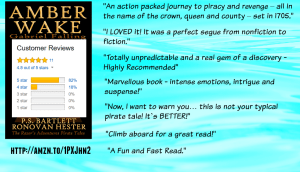 Amber Wake: Gabriel Falling Review Image.