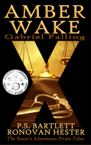 Amber Wake: Gabriel Falling Readers' Favorite cover.