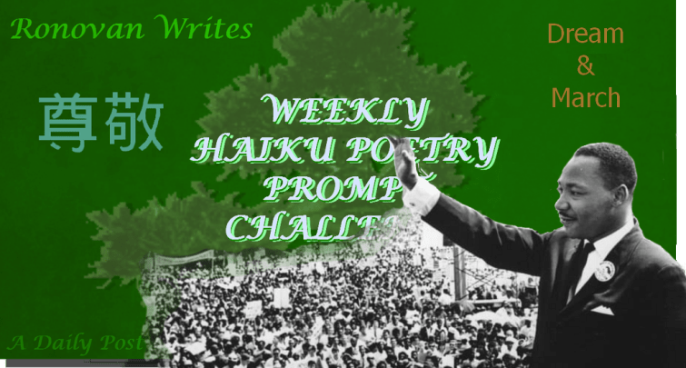 MLK image for haiky challenge