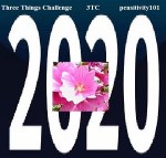 pensitivity three things challenge logo
