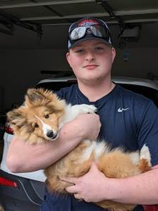 Son and Sheltie